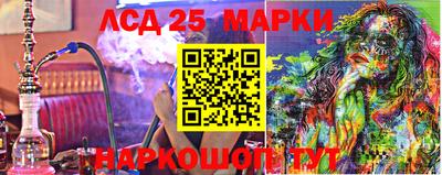 дмт Донской