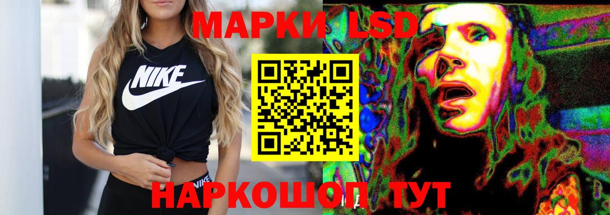 blacksprut ССЫЛКА  Лсд 25 экстази ecstasy  Вход с VPN  Курчалой  ЛСД экстази ecstasy 