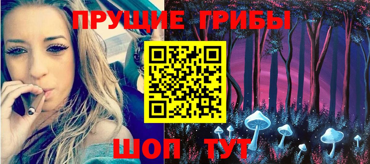 Галлюциногенные грибы GOLDEN TEACHER Курчалой