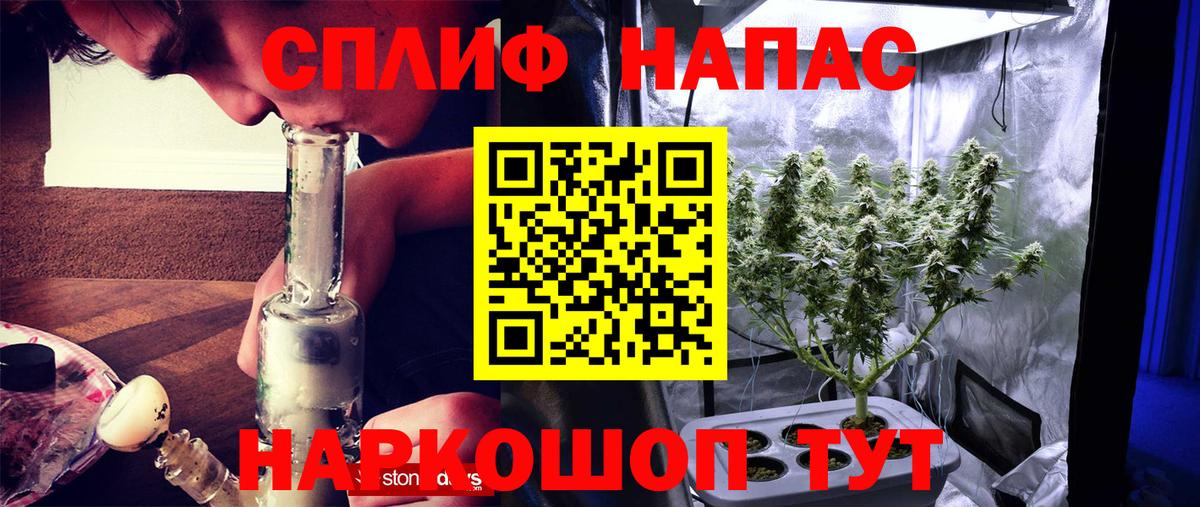 Канабис тримм Курчалой
